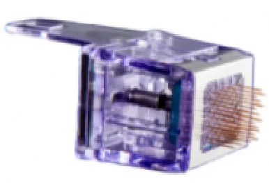 Morpheus 8 BODY